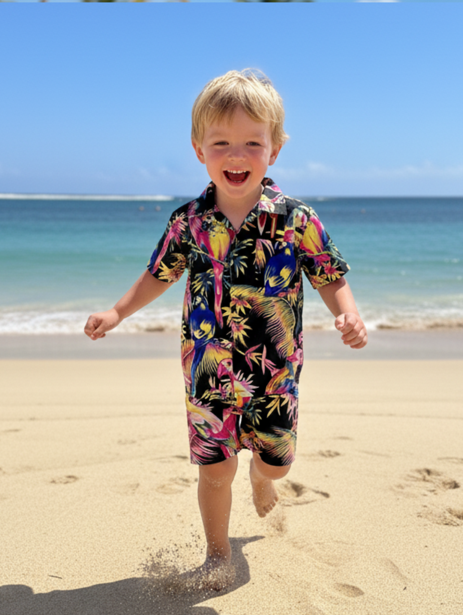 Conjunto Hawaiano de Niño: Guacamaya Paquete de 5 pcz